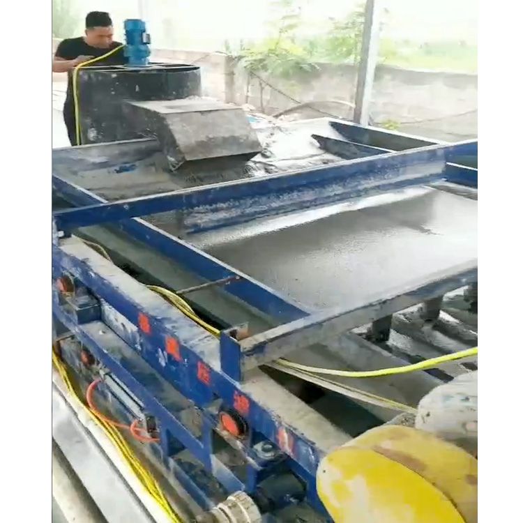 河北保(bao)定帶式壓濾機汚泥處理